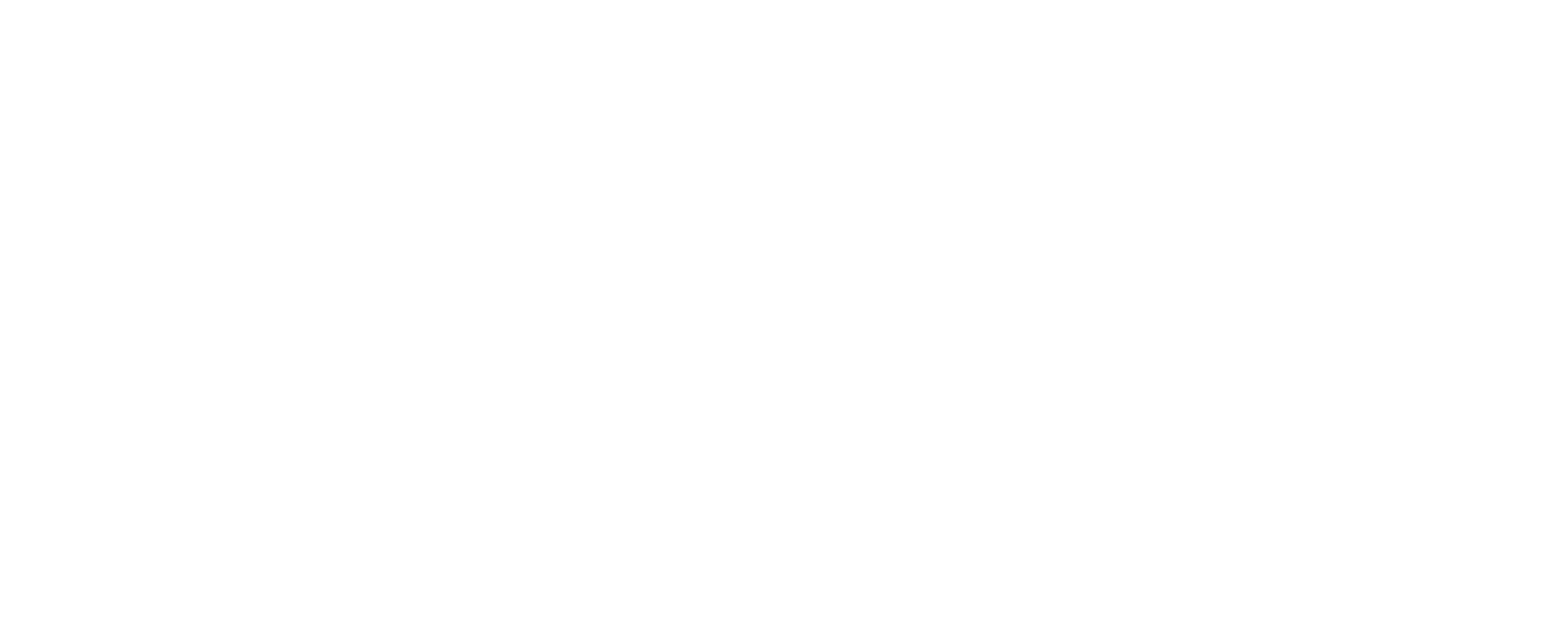 SKYN3T AI Manager